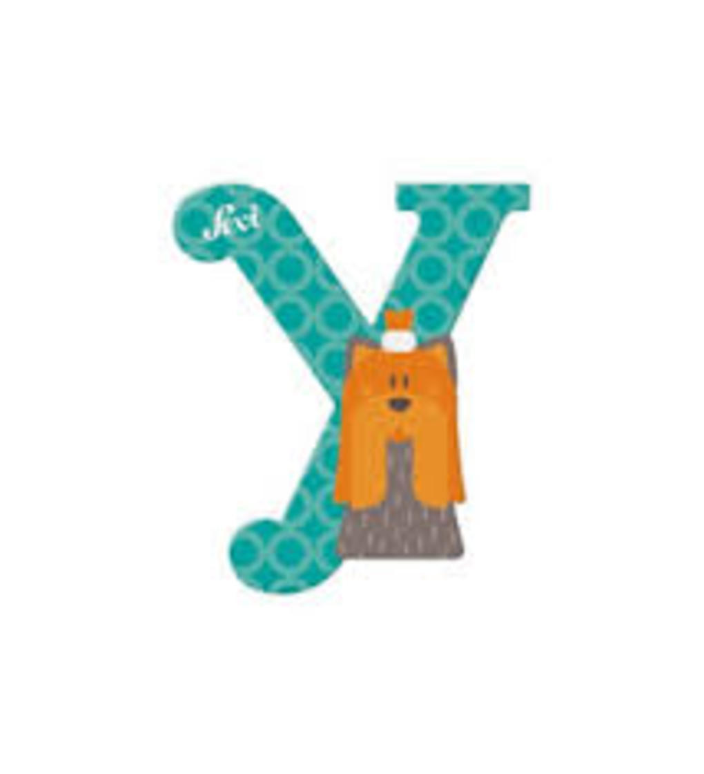 Lettera y yorkshire terrier