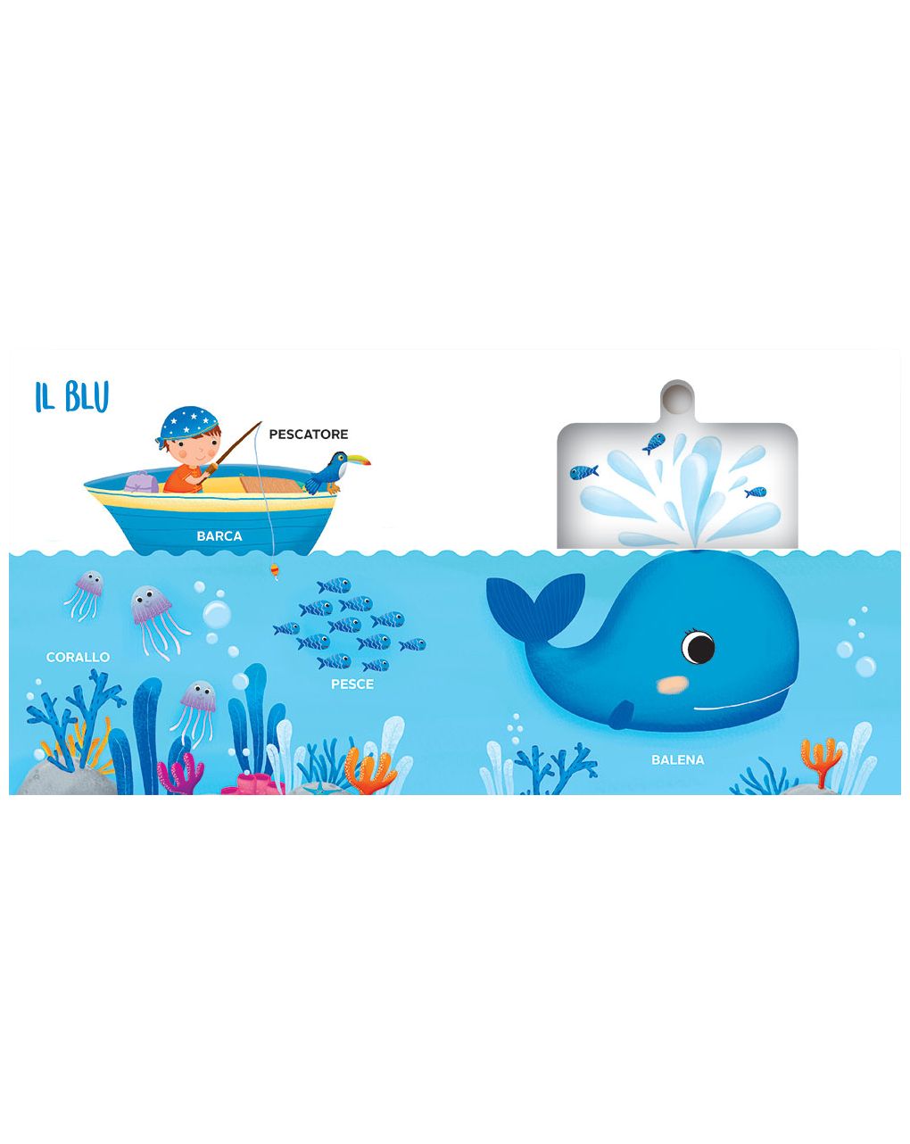 Colori - muovi scopri