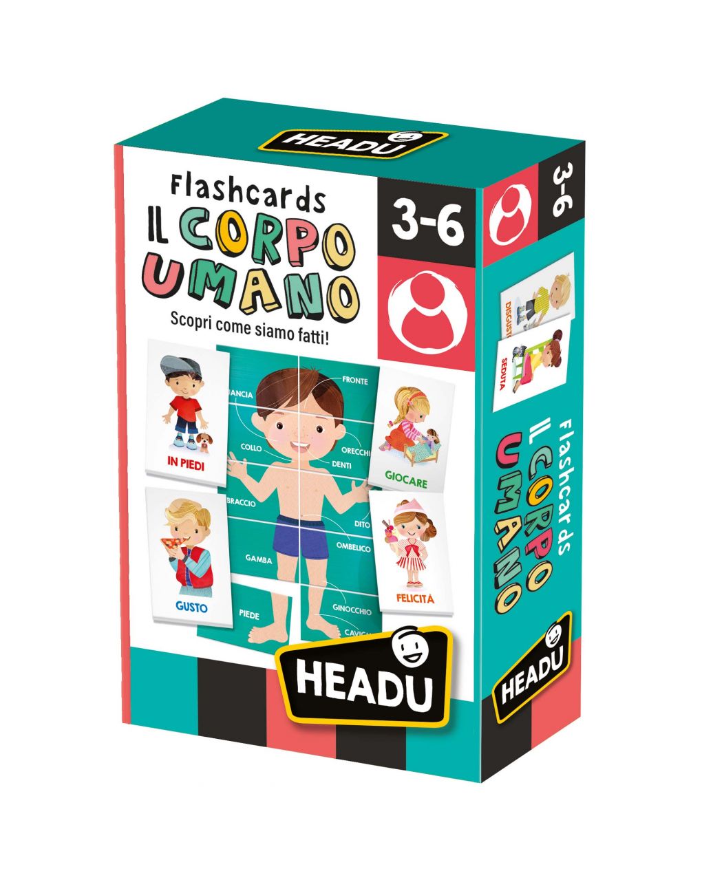 Headu - flashcards il corpo umano