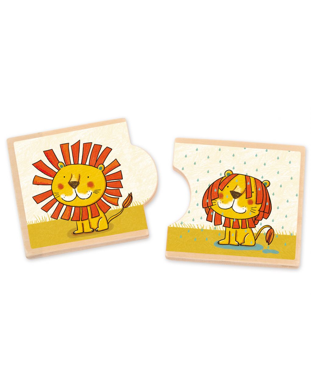 Goula - opposti. leo il re della giungla