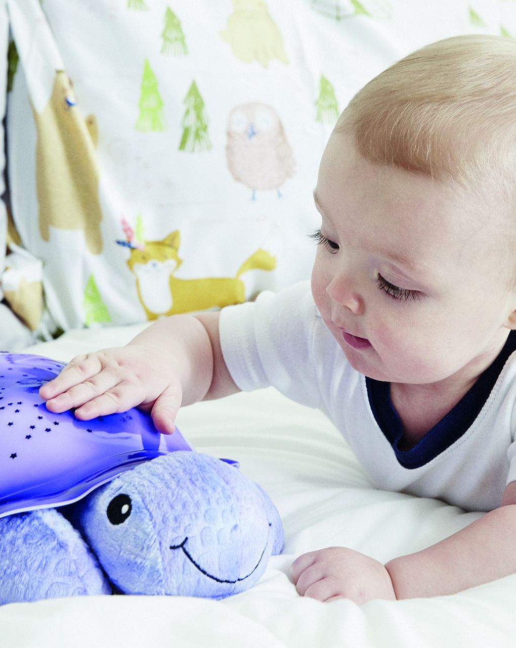 Cloud b - twilight turtle - purple