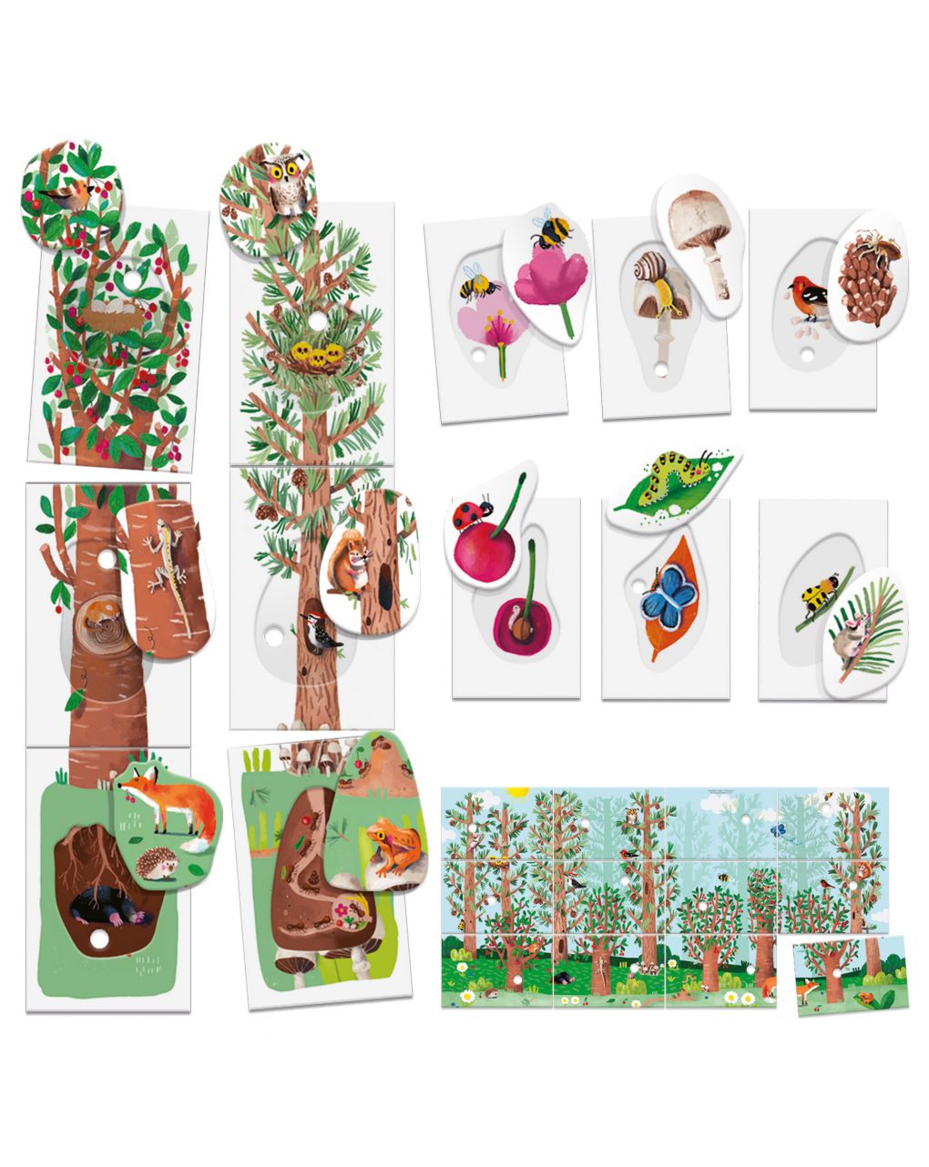 Headu - flashcards my first nature montessori