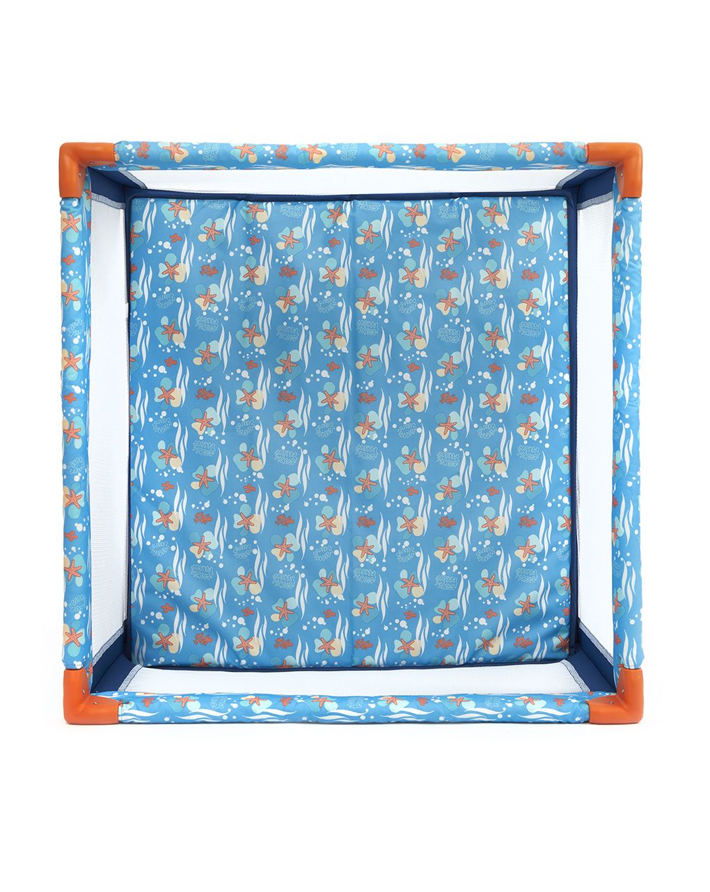 Box quadrato oceano stelle marine