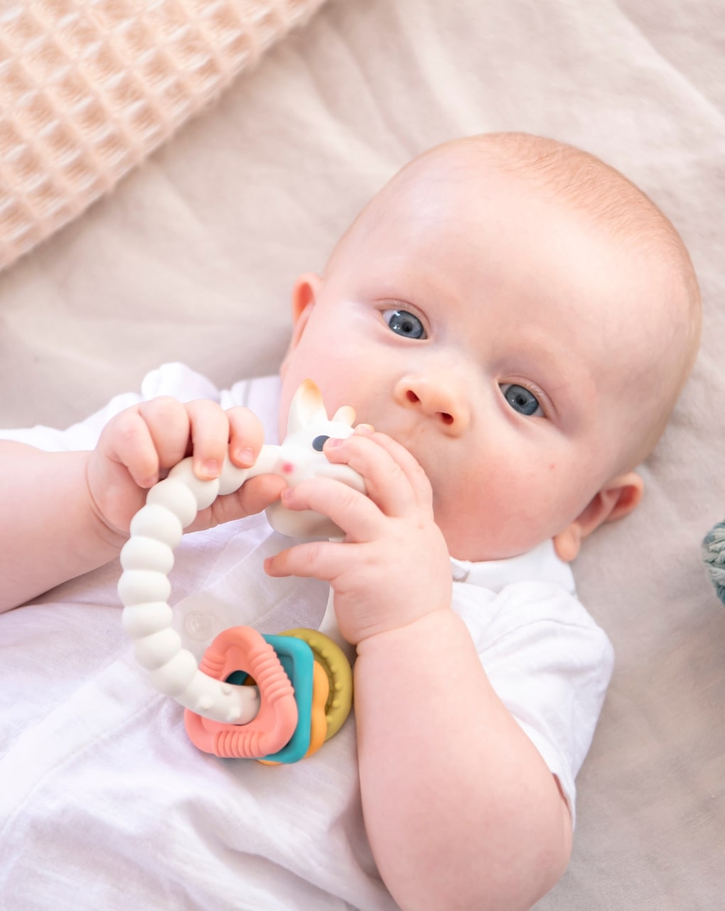 Anello da dentizione colo'rings so'pure sophie la girafe - vulli