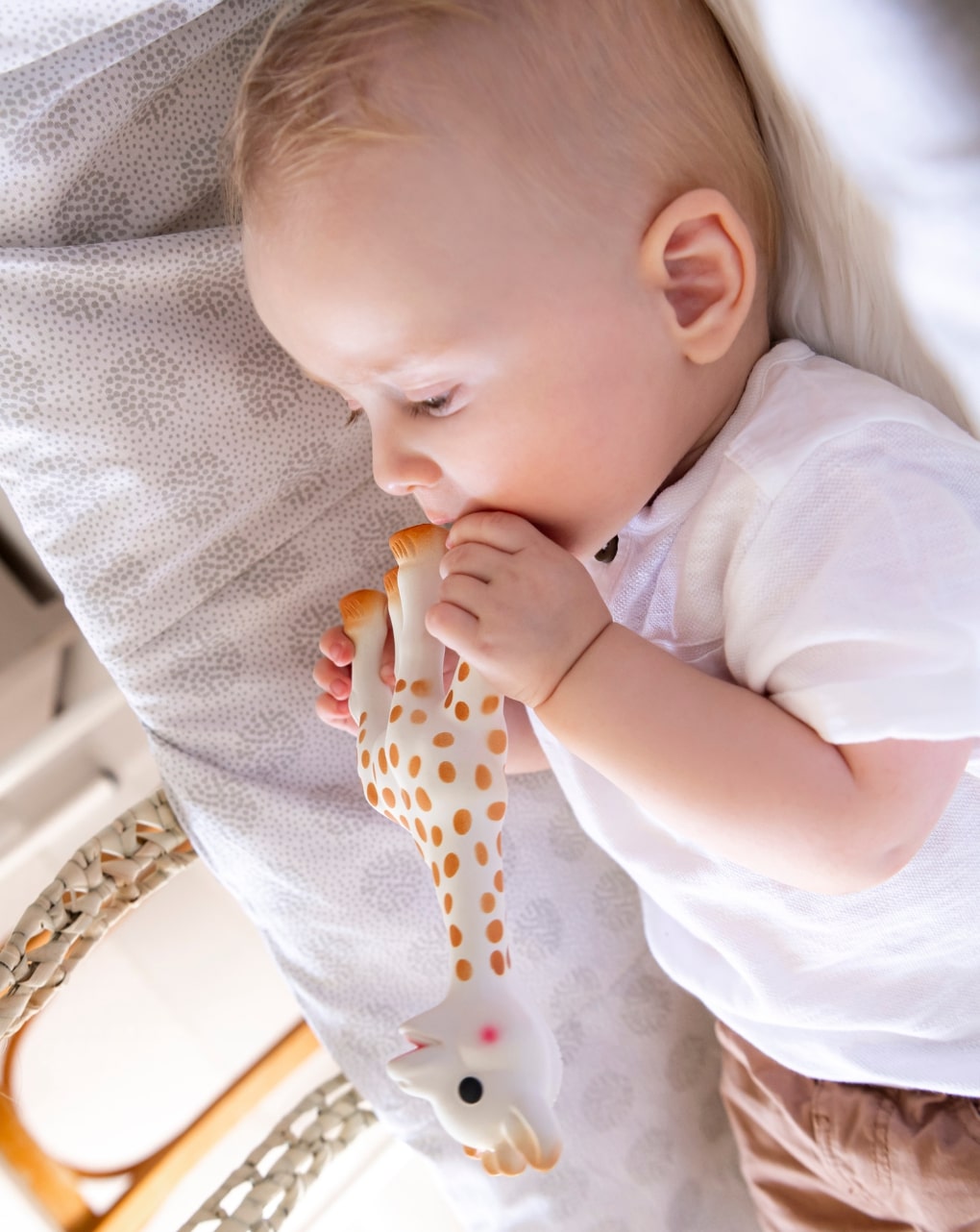 Cofanetto creazione tenerezza n. 1 sophie la girafe - vulli