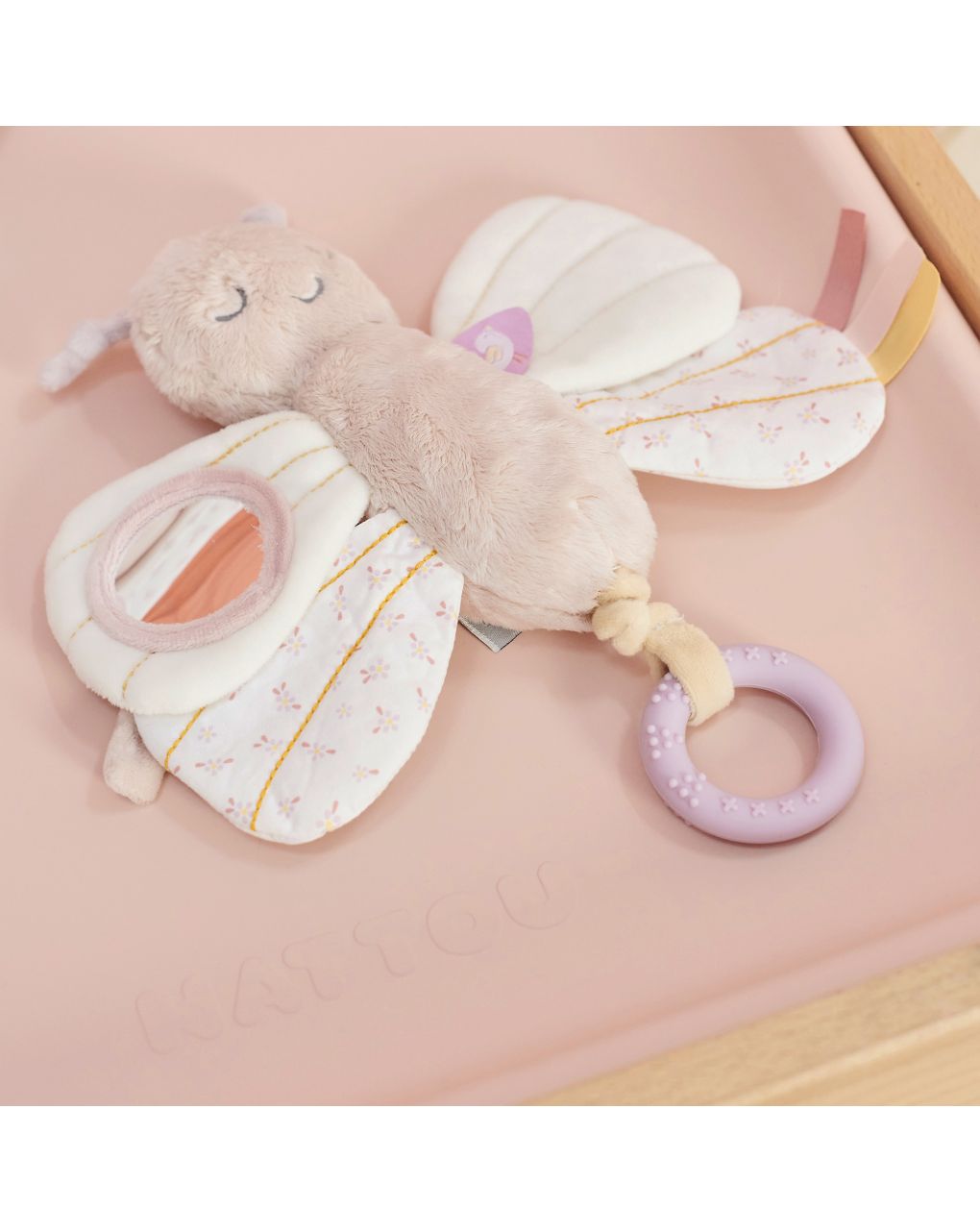 Farfalla attività - nattou