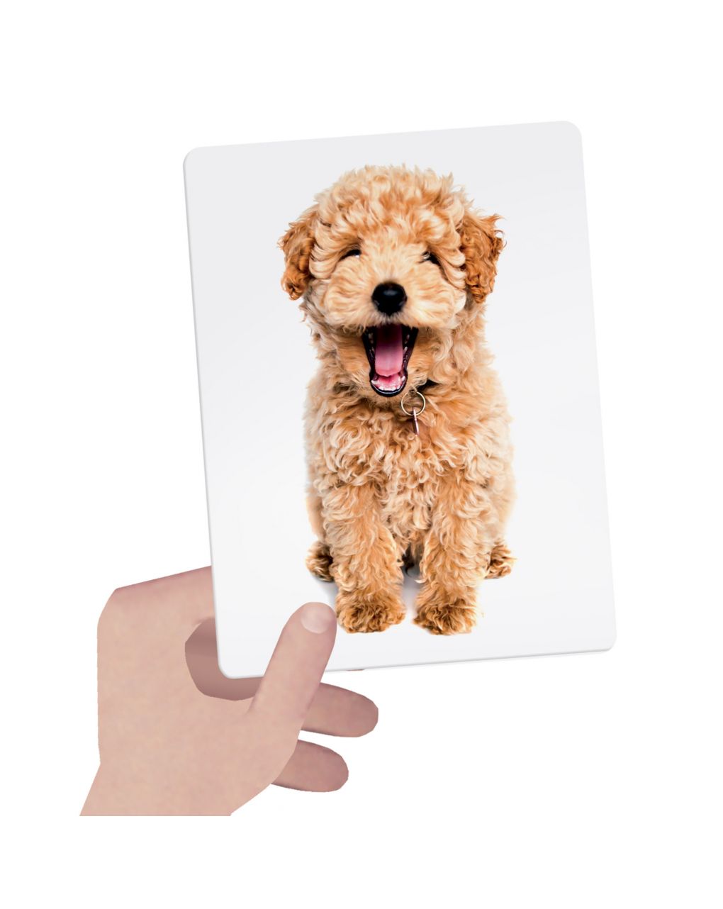 Flashcards tactile montessori. osserva tocca e senti! 1/4 anni - headu