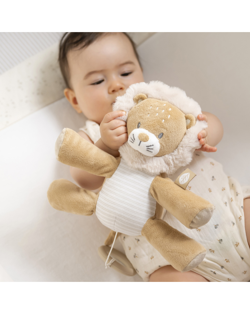 Carillon ernest il leone - 0+ - nattou