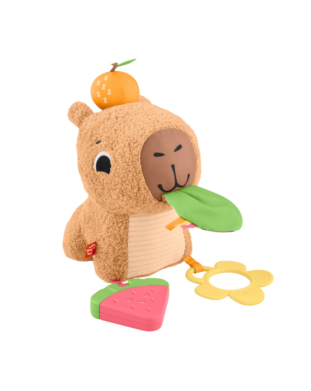 Marmotta coccole e merenda - 3m+ - fisher price