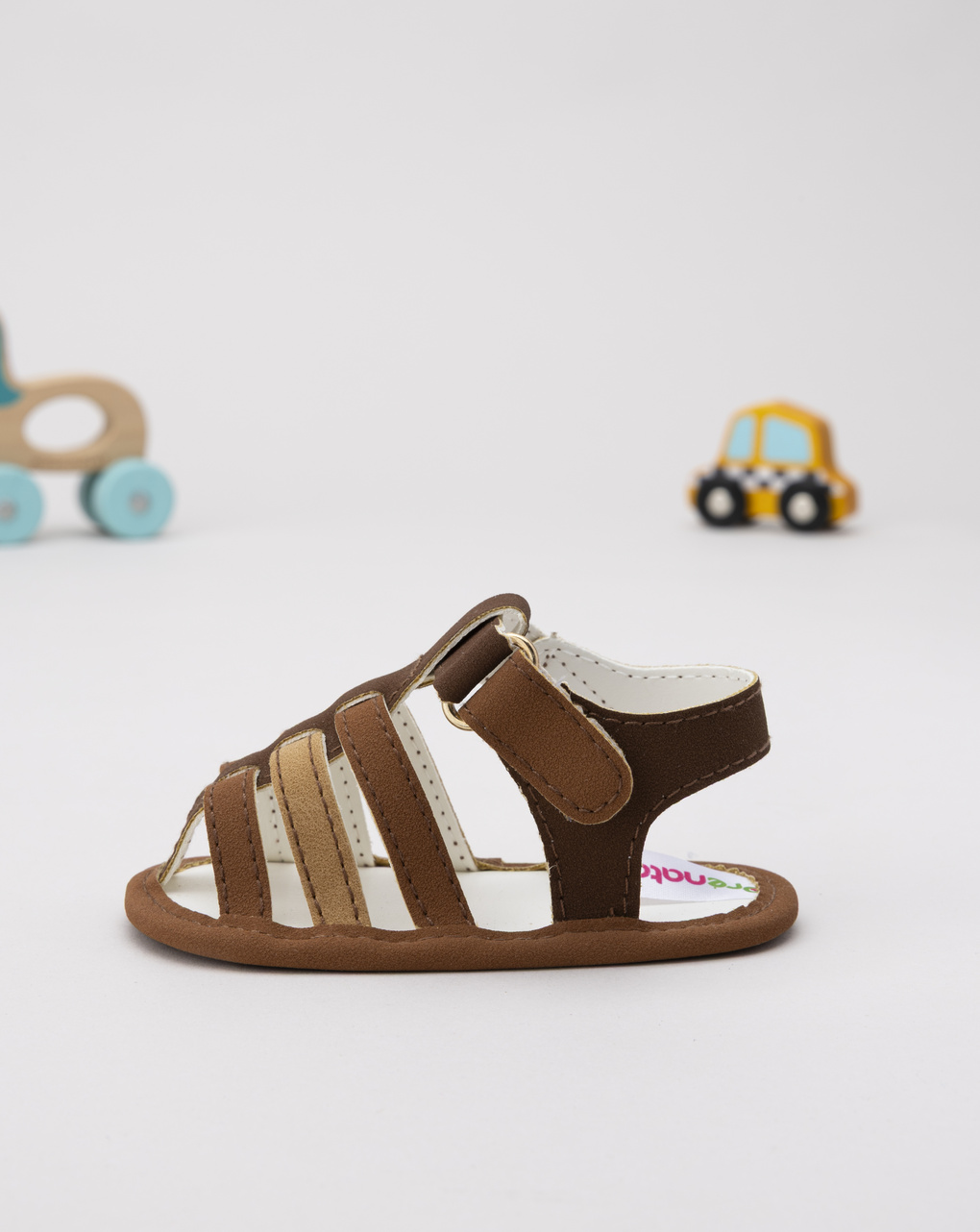 Sandalo ragno marrone neonato