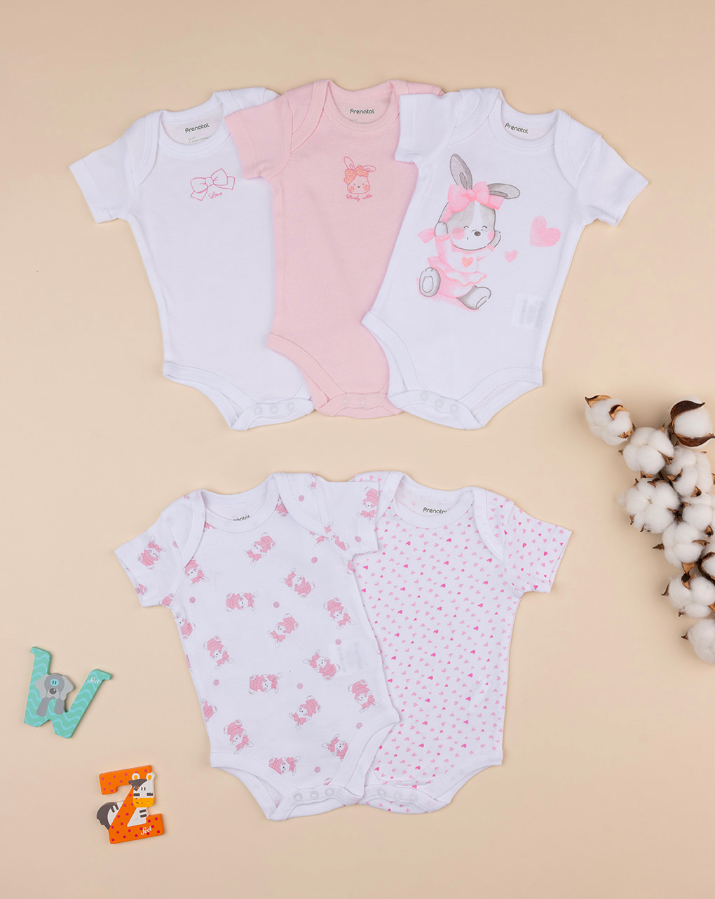 Pack 5 body cotone