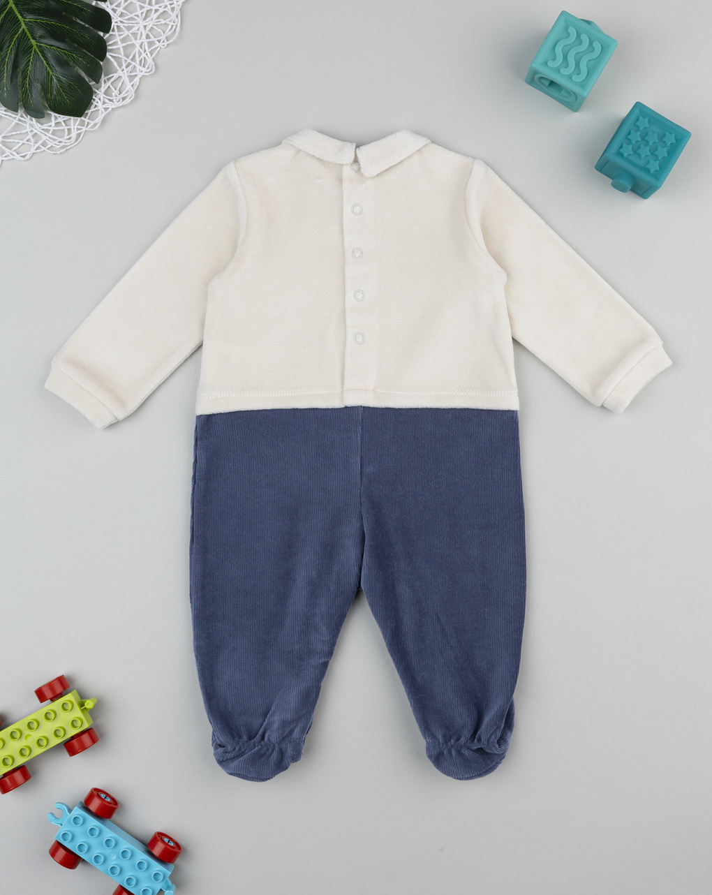 Tutina bimbo bicolor "mountain"