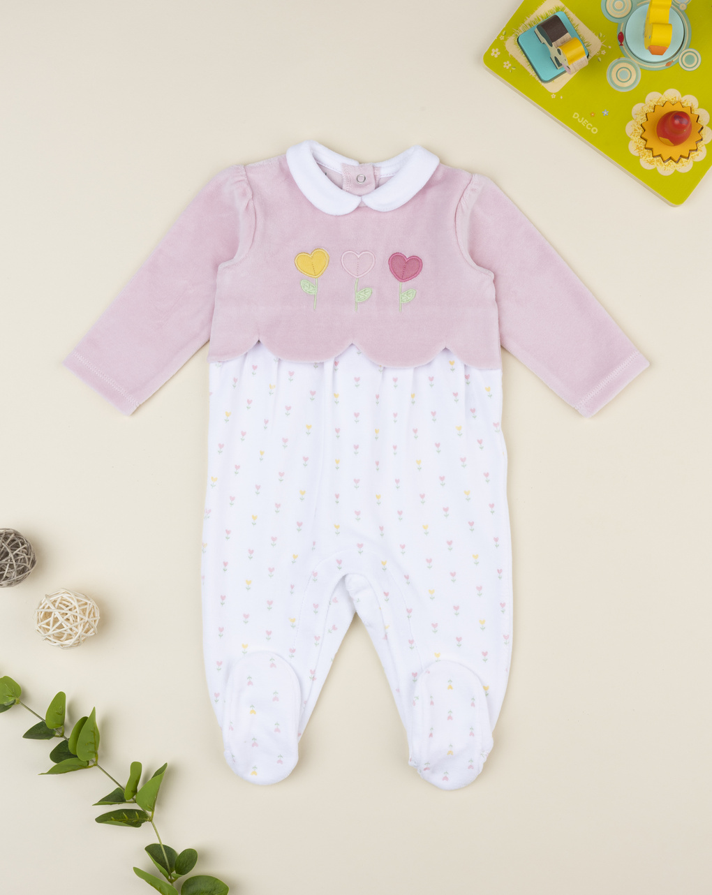 Tutina bimba bicolor