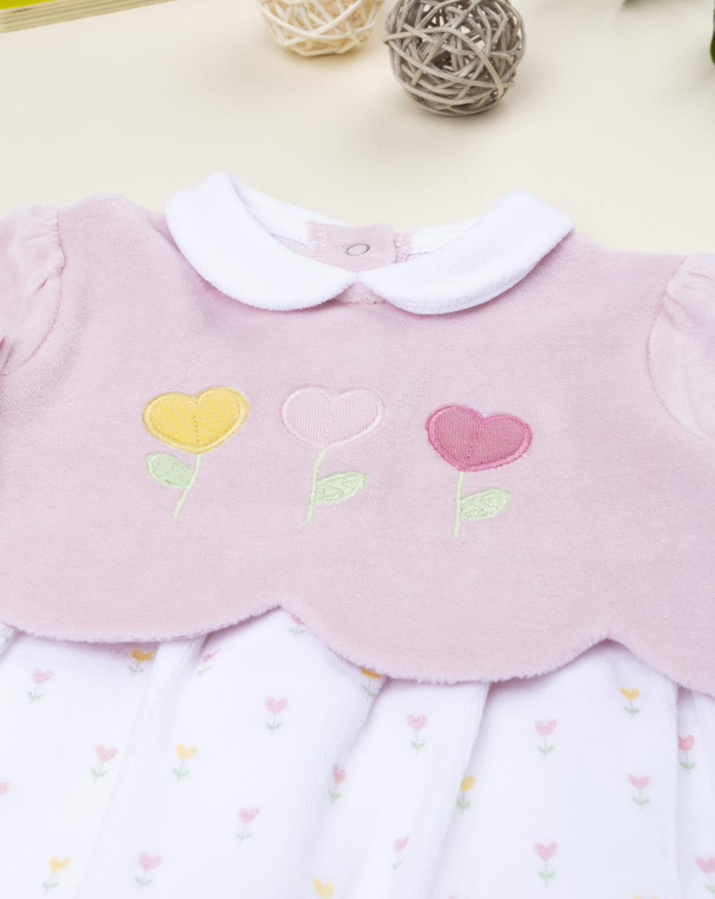 Tutina bimba bicolor