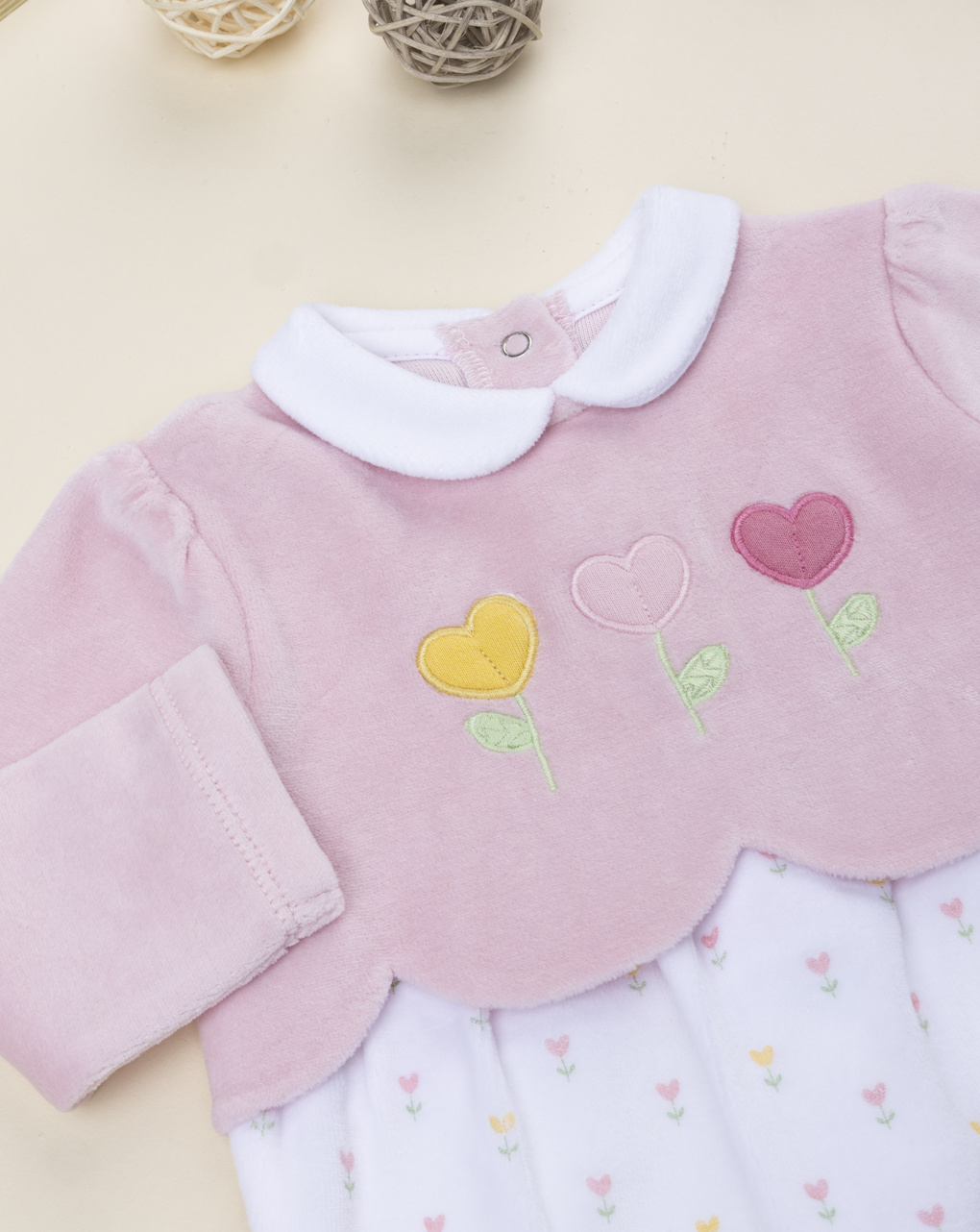 Tutina bimba bicolor