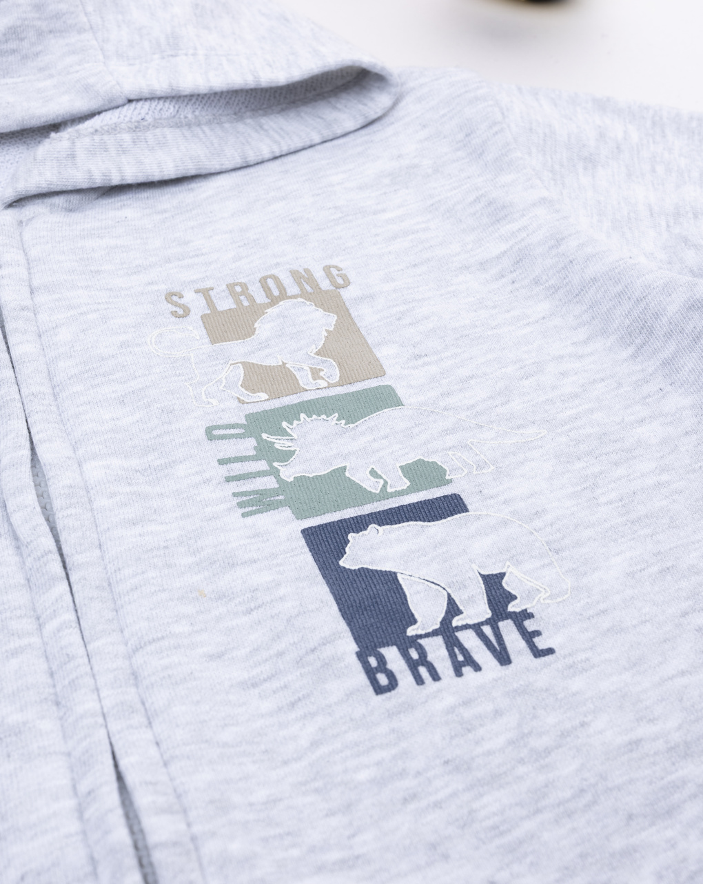 Felpa con cappuccio bambino grigia stampa dino