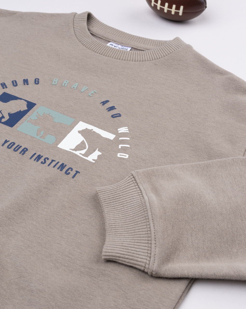 Felpa bimbo marrone stampa dinosauri