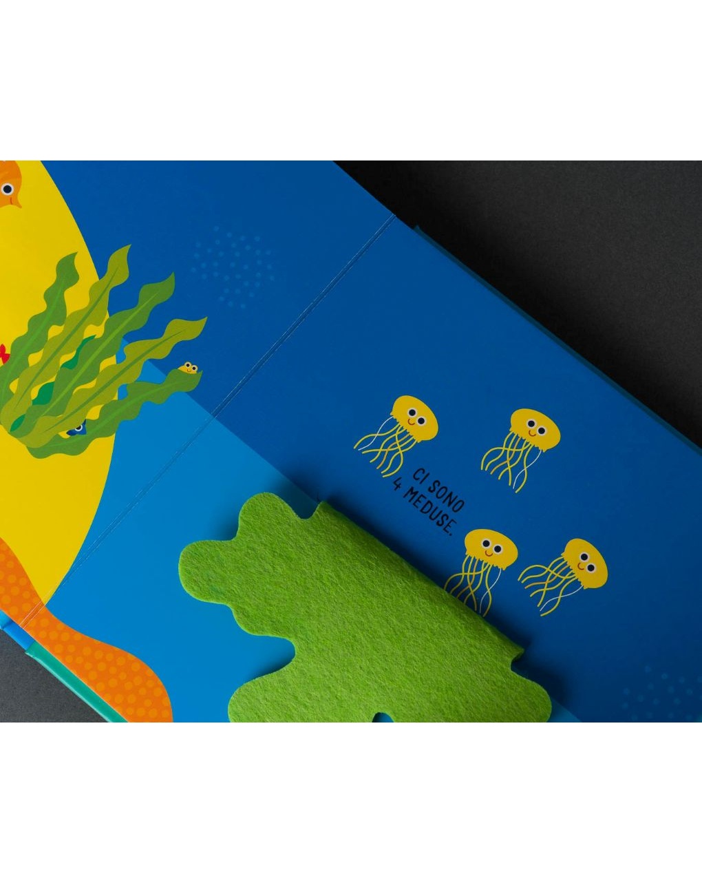 Libro interattivo cucù pesciolino – 3+  – unisex