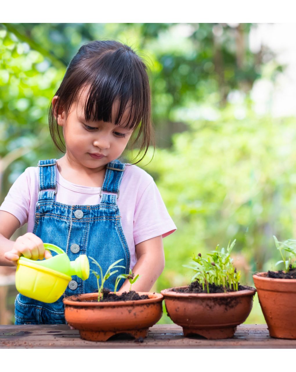 Vasino pasha eco - ok baby