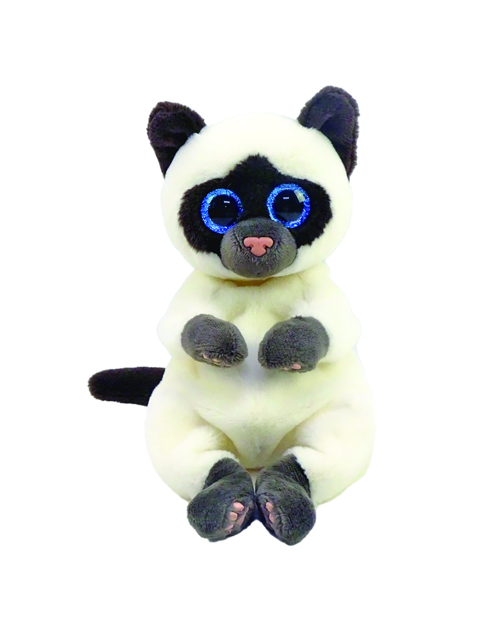 Bellies - miso il gatto siamese bianco e marrone con occhi azzurri grandi e gli -3+ -