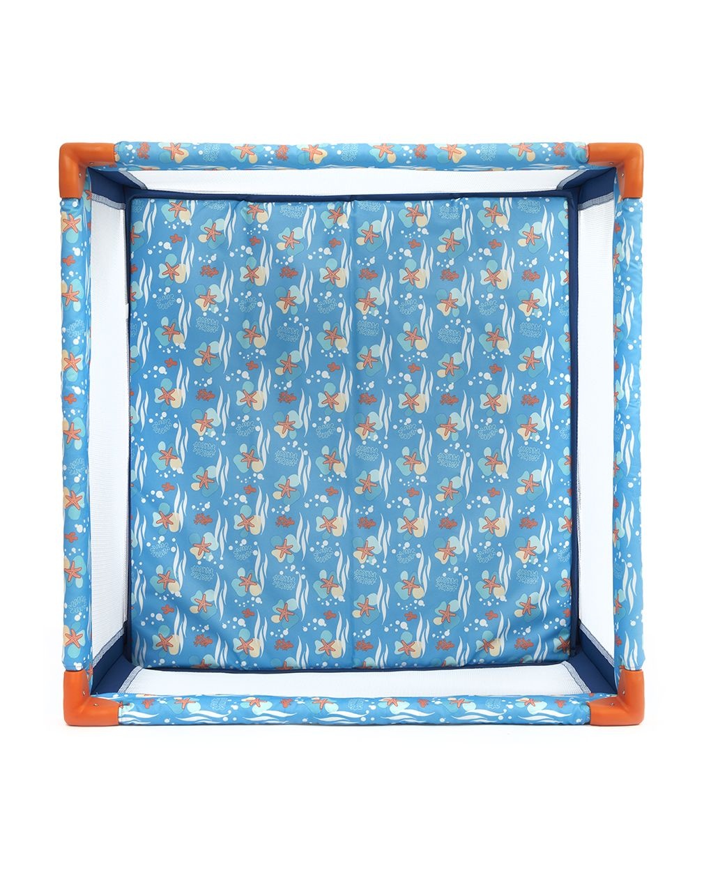 Box quadrato oceano stelle marine - giordani