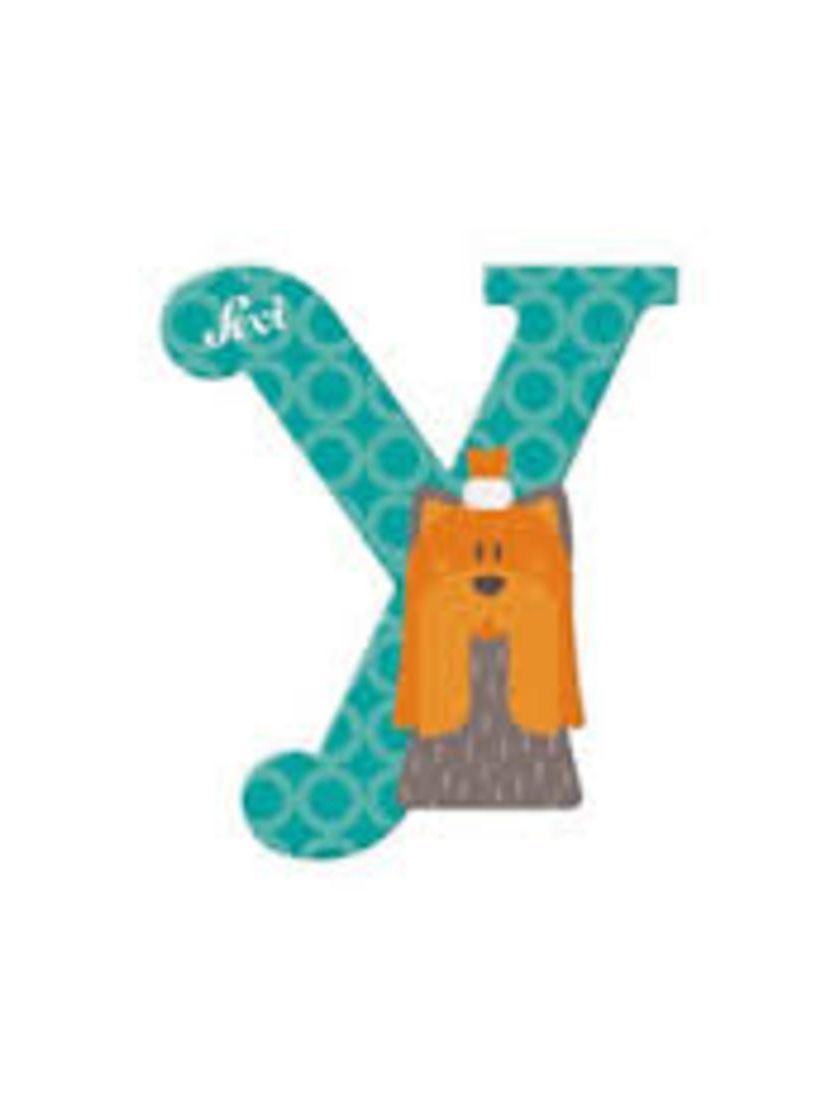 Lettera y yorkshire terrier