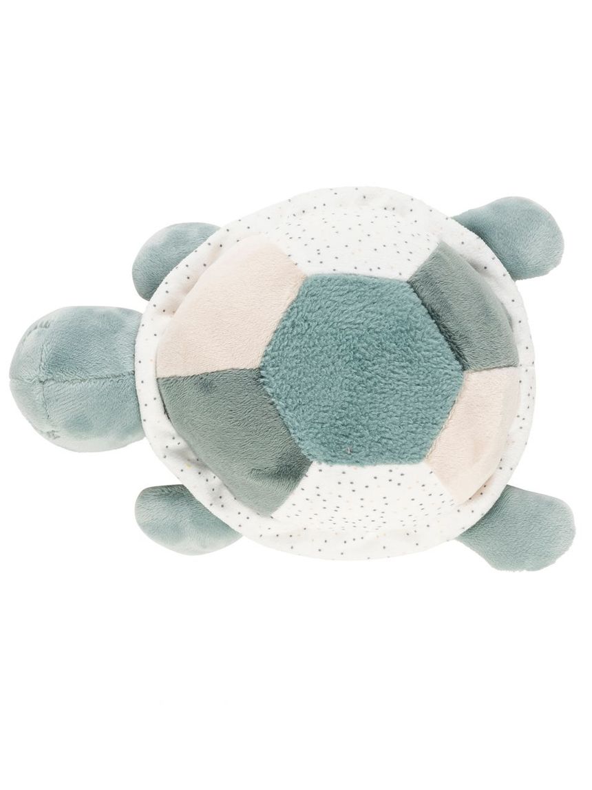 Tartaruga attività - nattou