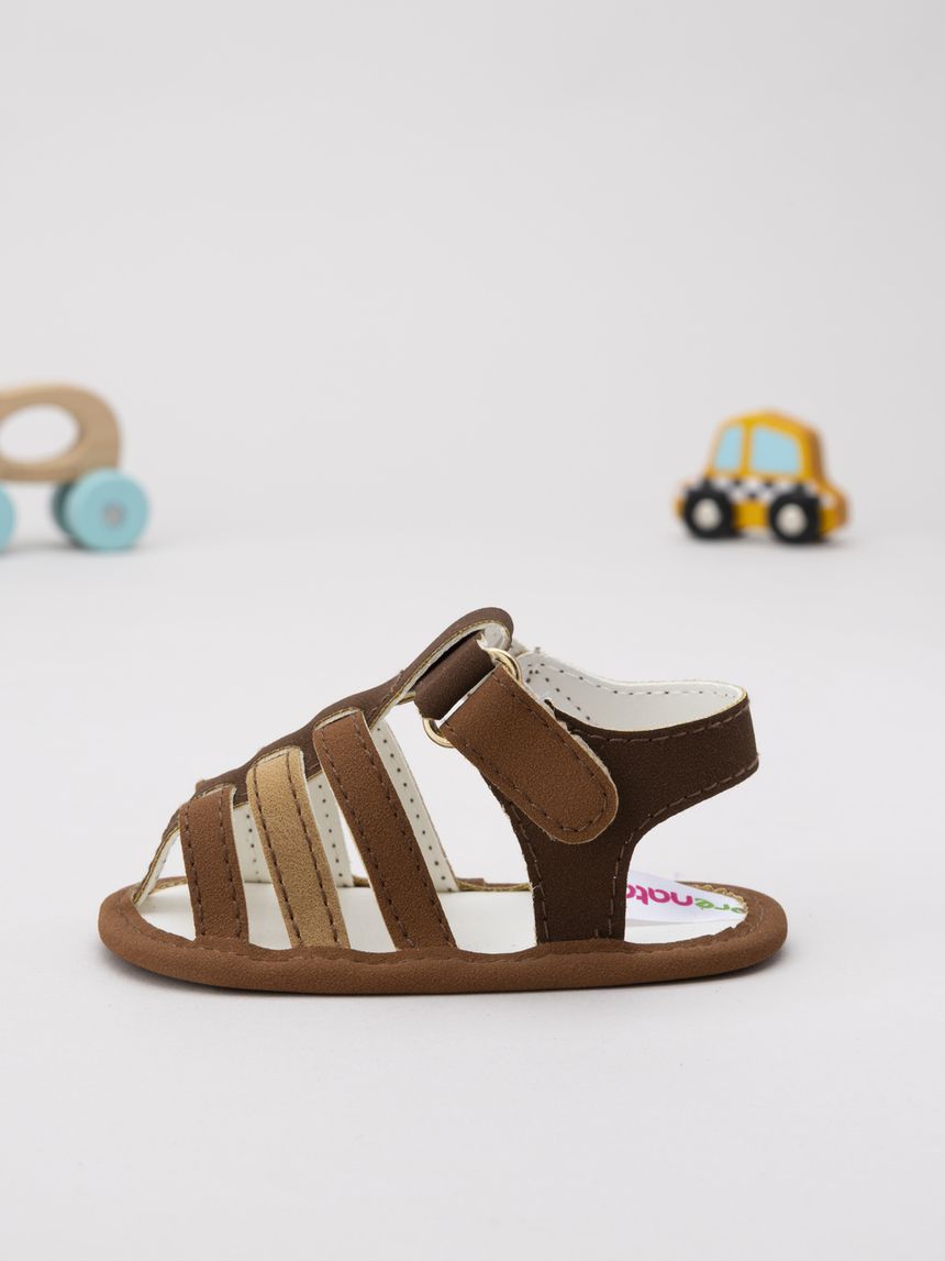 Sandalo ragno marrone neonato