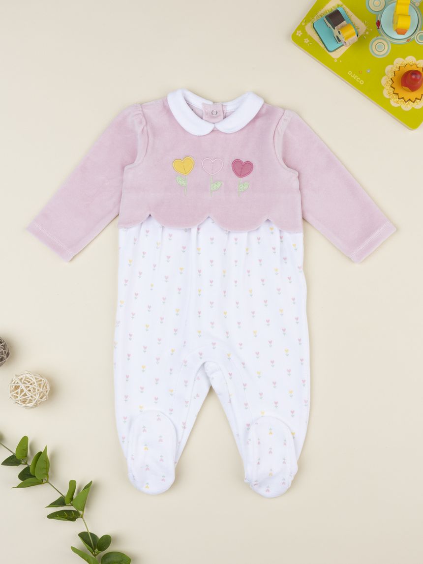 Tutina bimba bicolor