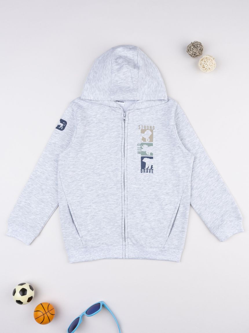 Felpa con cappuccio bambino grigia stampa dino