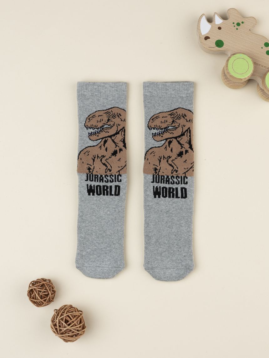 Calze antiscivolo bambino dinosauro