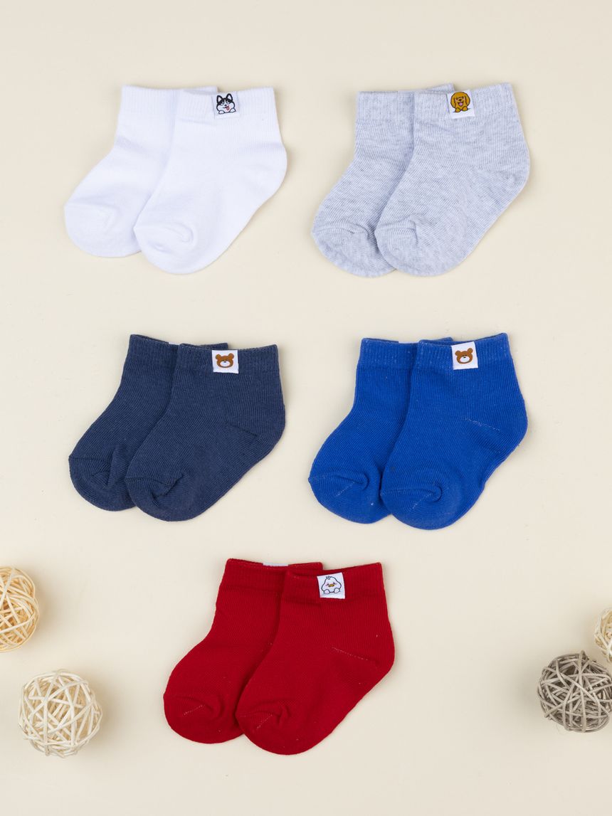 Pack 5 calze colorate bimbo