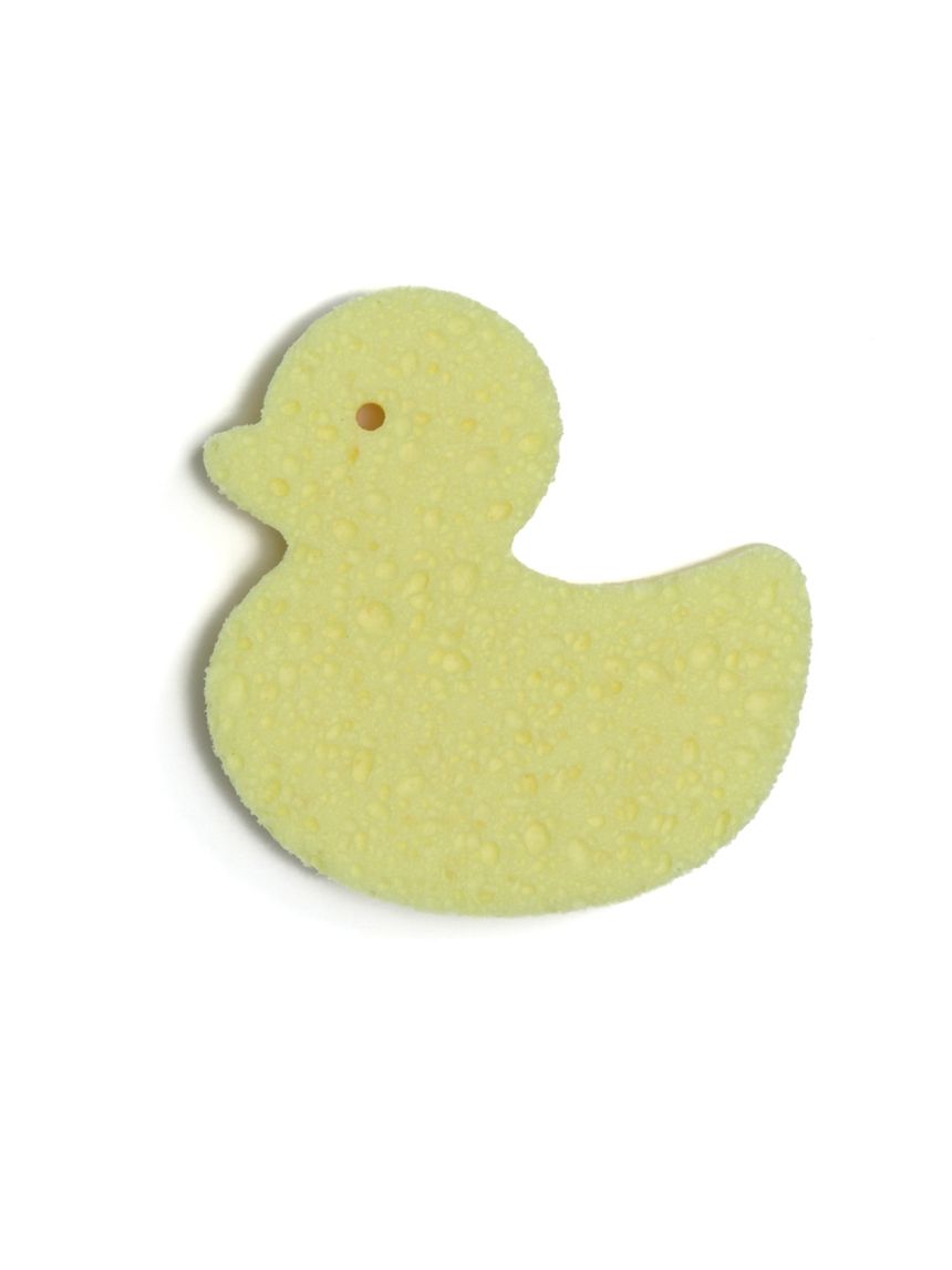 Spugna duck - that's love