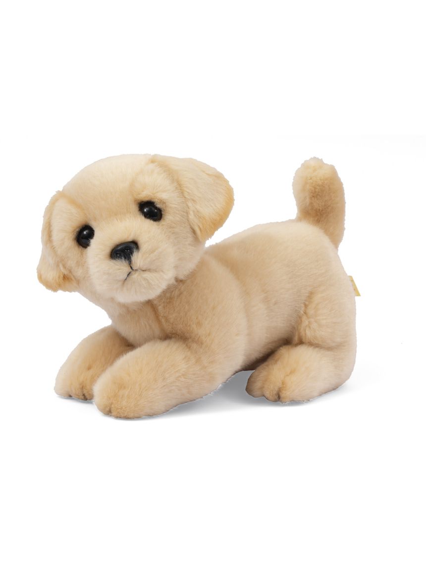 Peluche cagnolini seduti