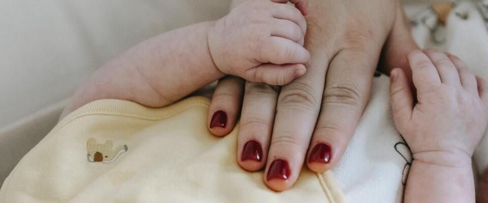 Placenta e cordone ombelicale