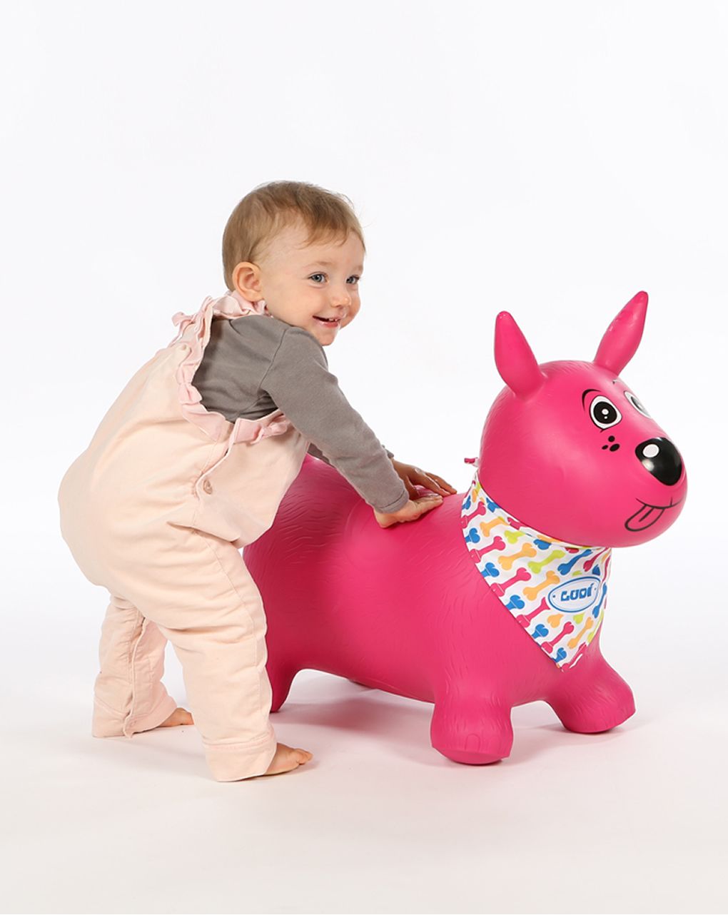 Il mio cane rosa cavalcabile 10m +