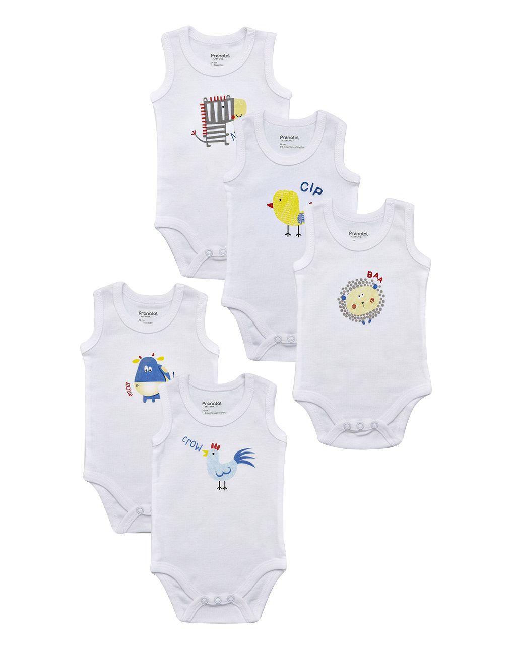 Pack 5 body bianchi con animaletti
