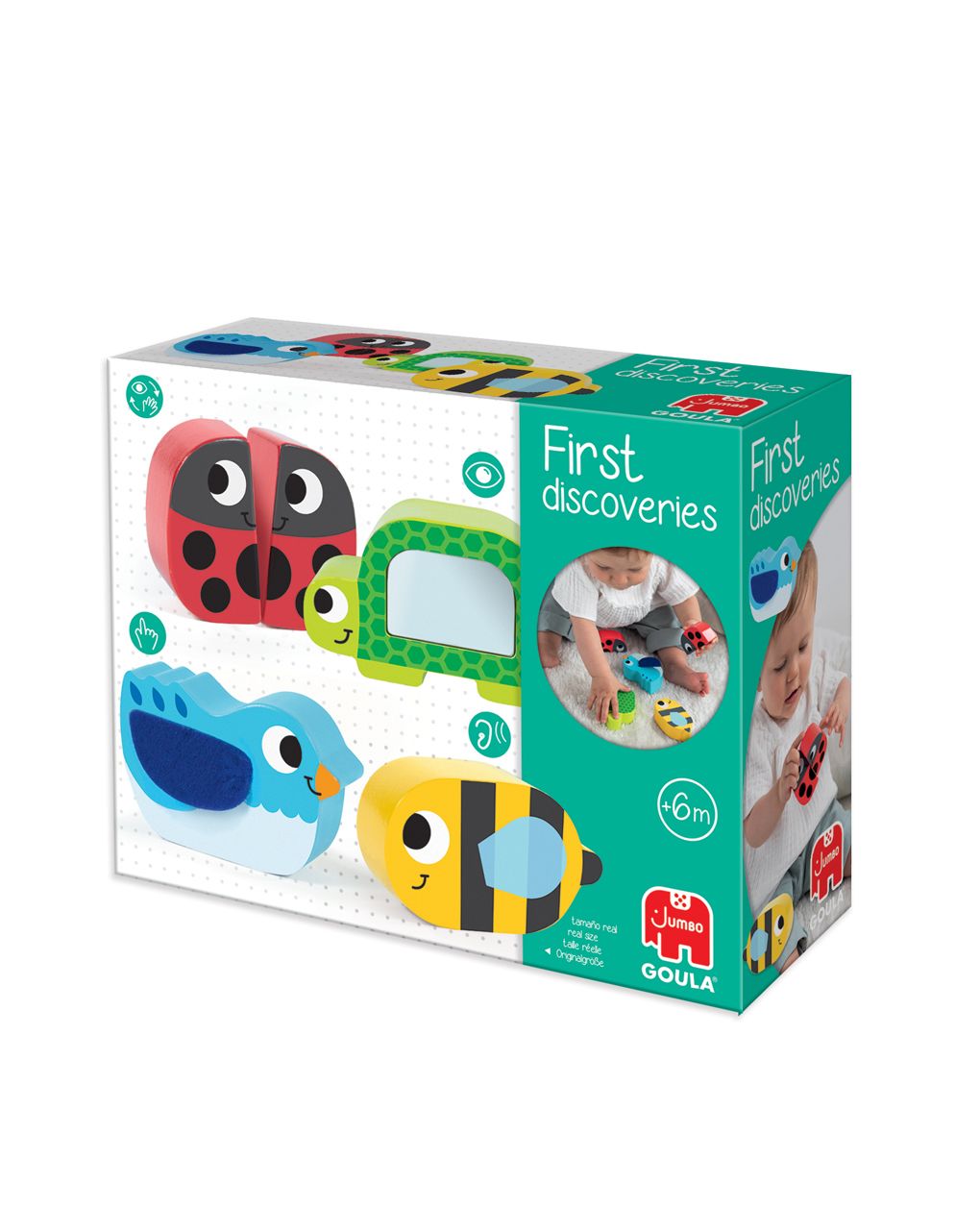 First discoveries gioco di apprendimento - goula