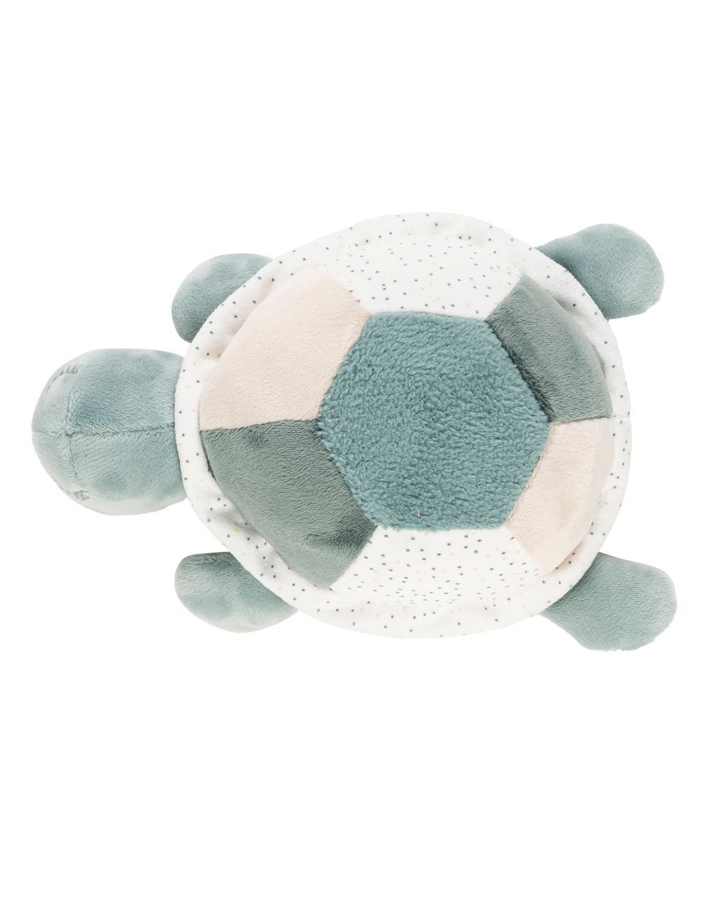 Tartaruga attività - nattou