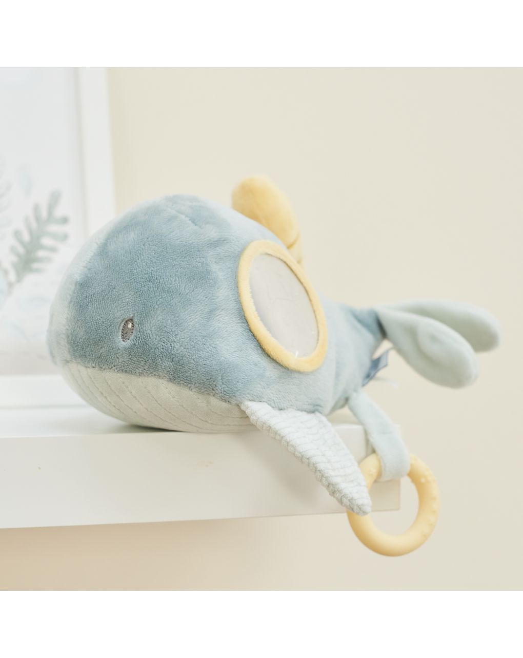 Sally la balena attività - nattou