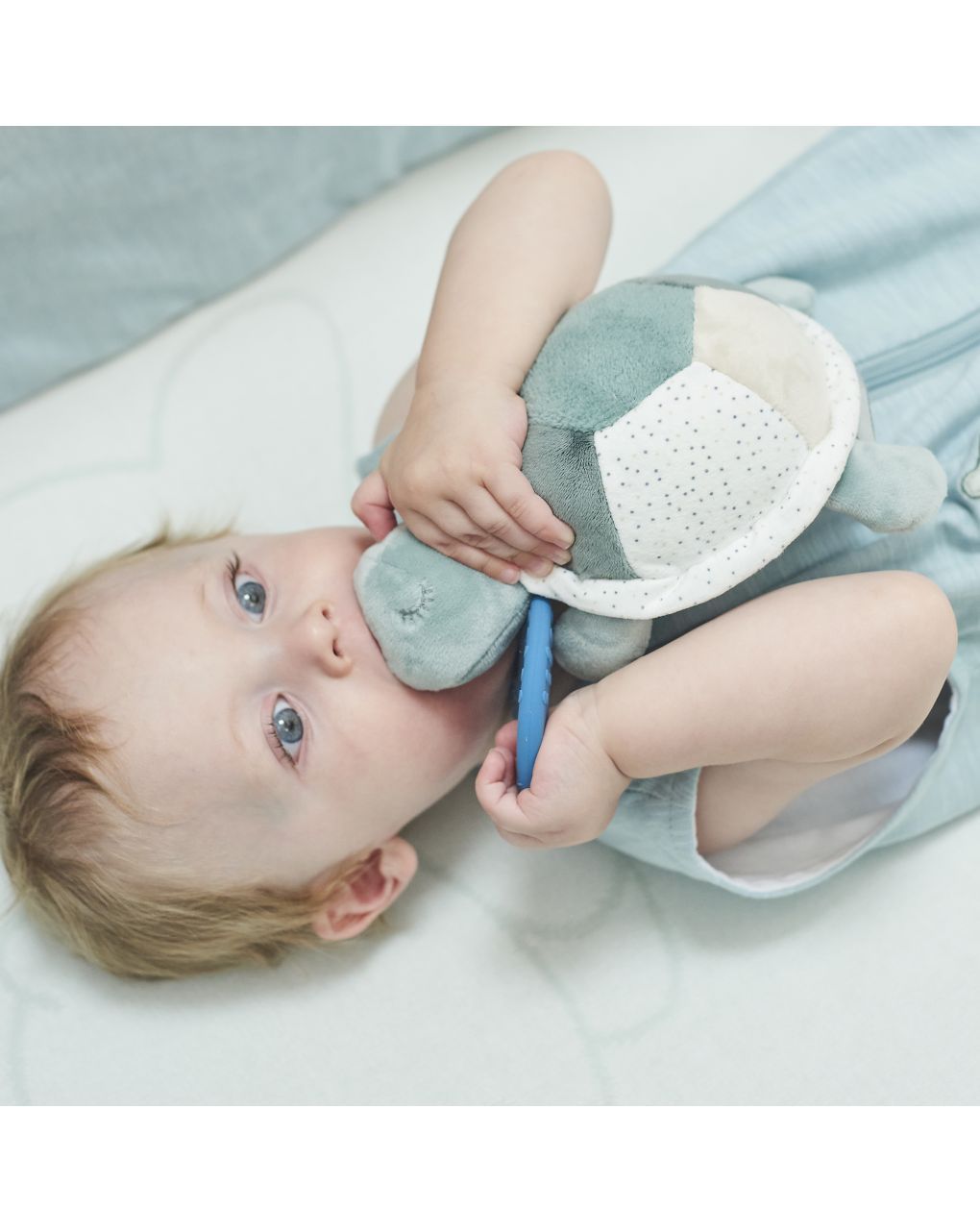 Tartaruga attività - nattou