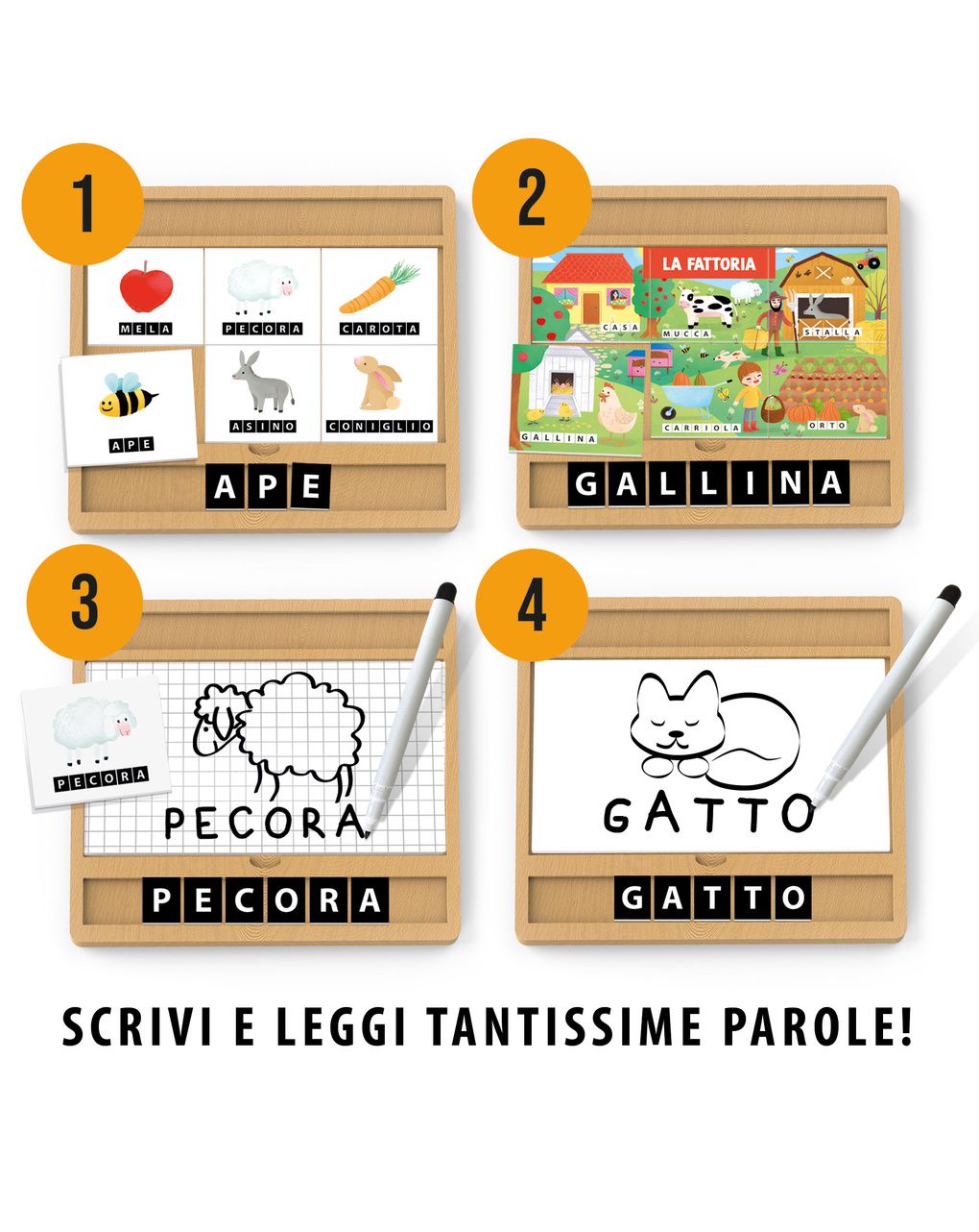 Enciclopedia dei piccoli montessori - headu