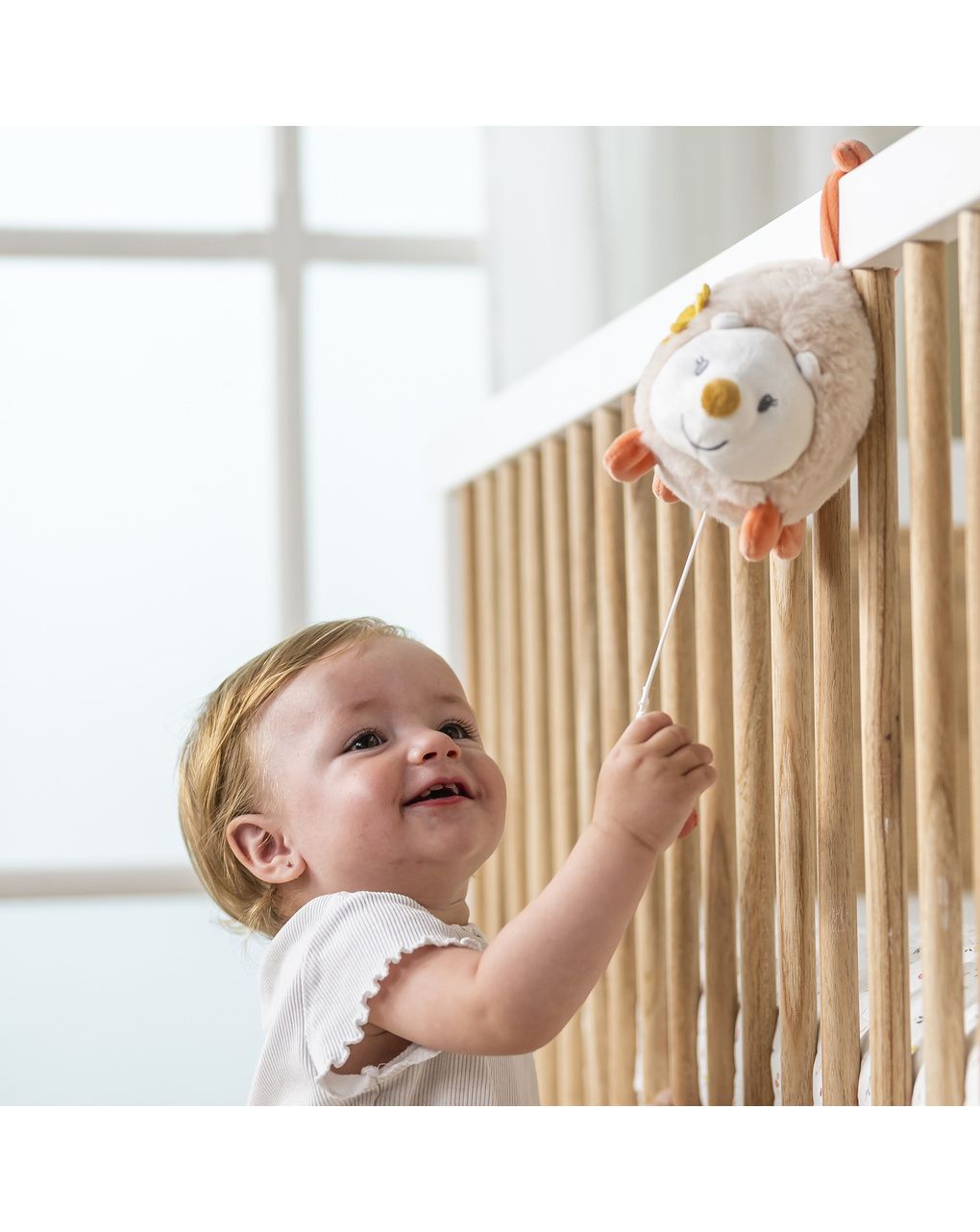 Mini carillon zoe il riccio - 0+ - nattou