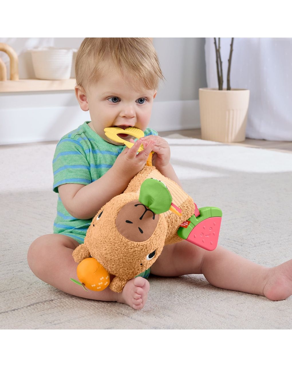 Marmotta coccole e merenda - 3m+ - fisher price