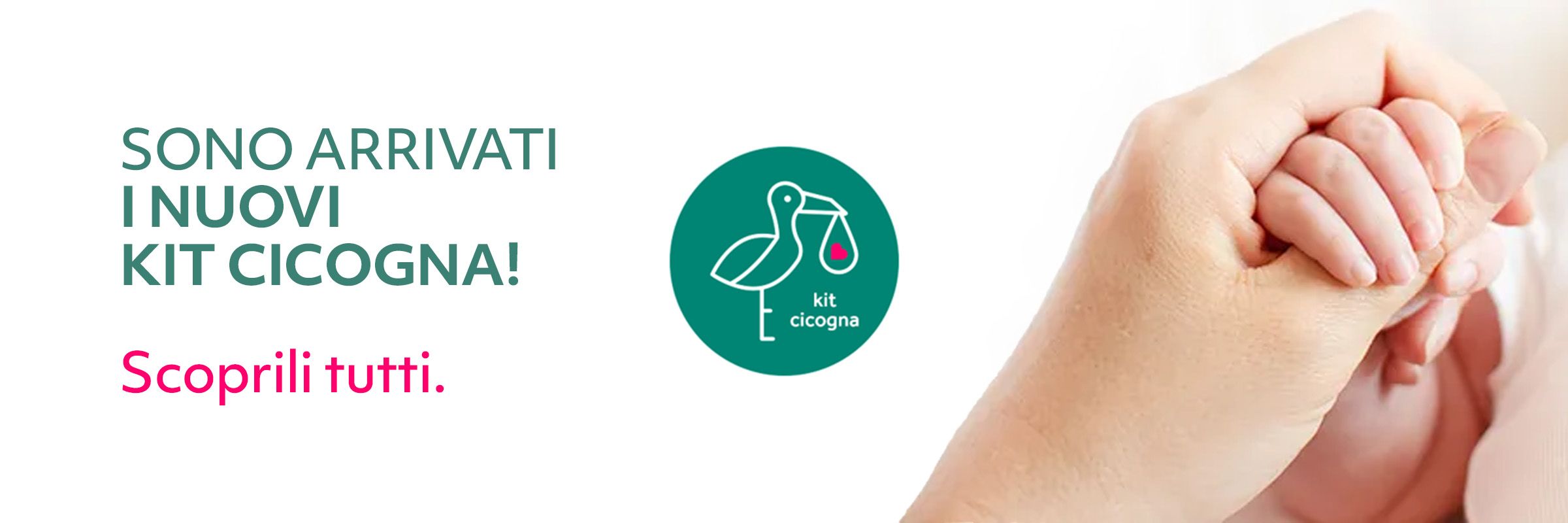 Kit Cicogna