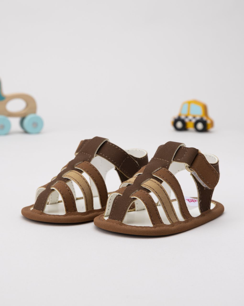 Sandalo ragno marrone neonato
