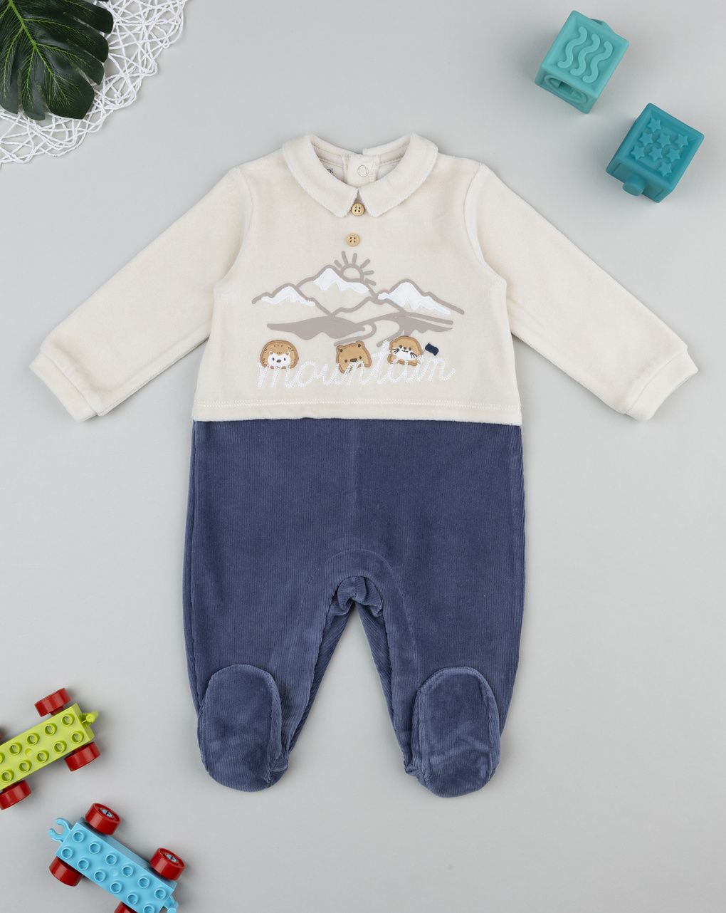 Tutina bimbo bicolor "mountain"