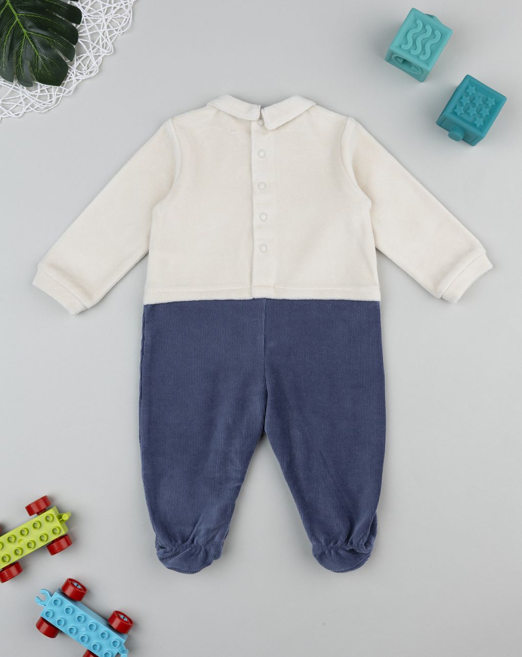 Tutina bimbo bicolor "mountain"