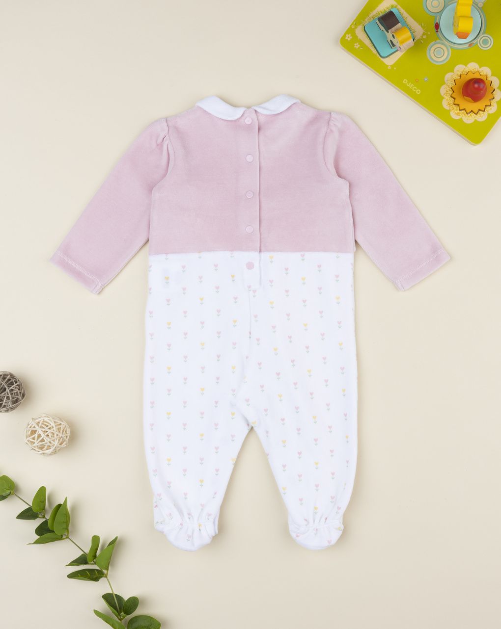 Tutina bimba bicolor