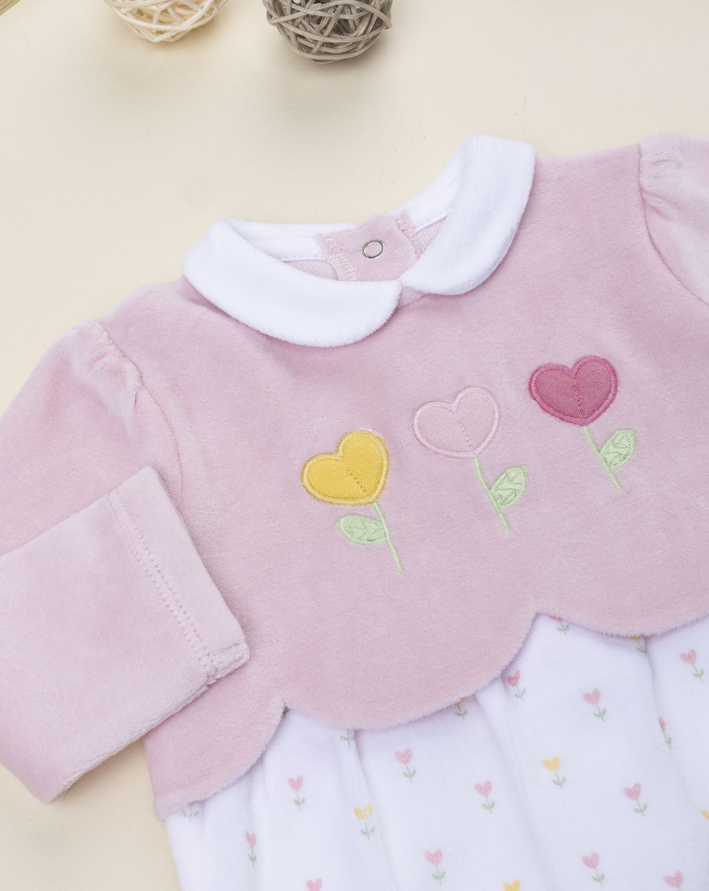 Tutina bimba bicolor